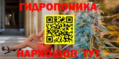 крисы Саяногорск